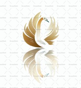 Anmutiger Schwan und Spiegelung